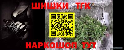 стаф Волгодонск